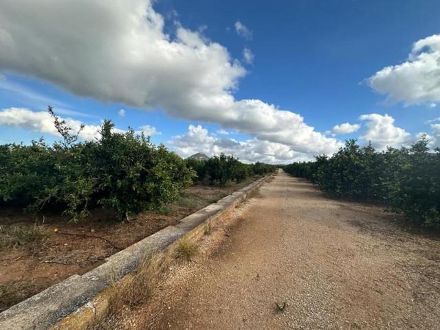 Chalet en venta en Ondara, Ondara photo 0