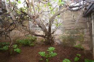 Casa en venta en Muro, Muro photo 0