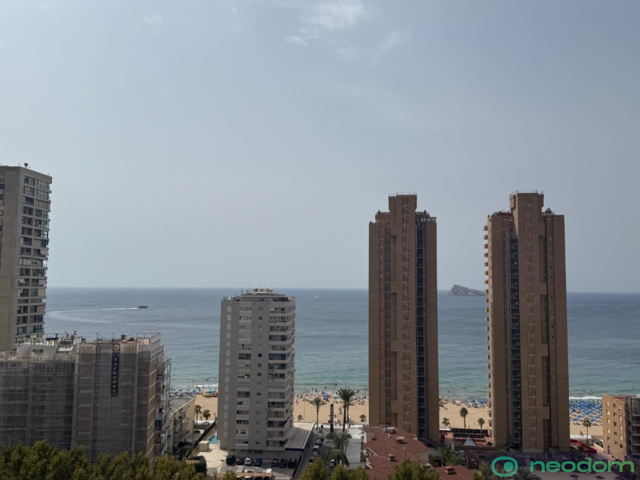 Aticos en venta en Benidorm, Benidorm photo 0