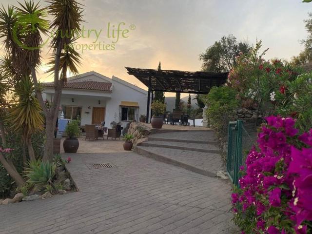 Chalet en venta en Alcaucín photo 0