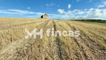 Terreno en venta en Utrera, Andalucia photo 0