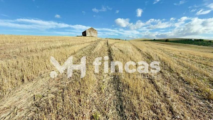 Terreno en venta en Utrera, Andalucia photo 0