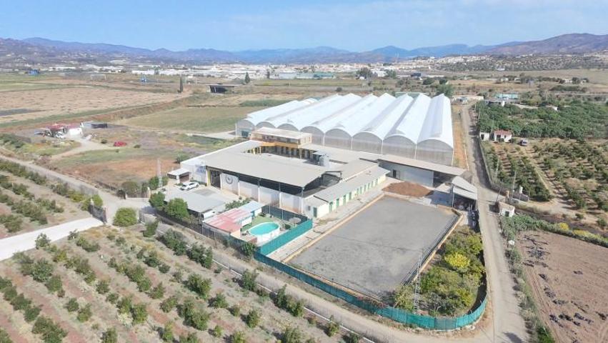 Casa con terreno en venta en Torre del Mar, El Tomillar photo 0