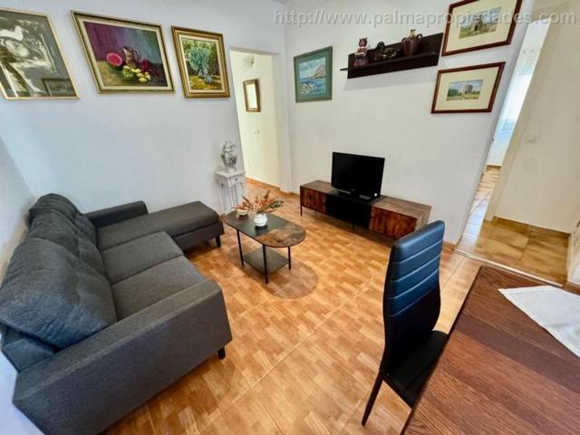 Apartamento en alquiler en Alcúdia, PUERTO DE ALCUDIA photo 0