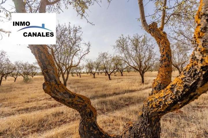 Terreno en venta en Padul, Ctra cabra photo 0