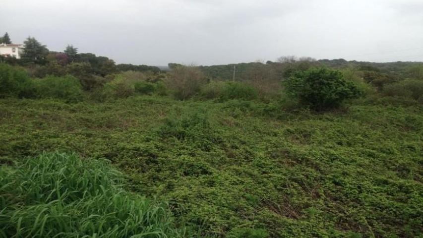 Parcela en venta en Córdoba, Trassierra - Las Jaras photo 0