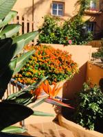 Apartamento en venta en Mijas, Riviera del Sol photo 0