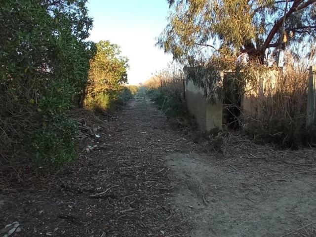 Terreno en venta en San Fulgencio, Partida del molar photo 0