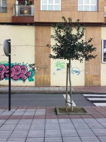 Local comercial en alquiler en Ponferrada, Centro photo 0