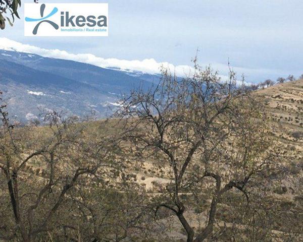 Terreno en venta en Ugíjar, Pago río alto photo 0