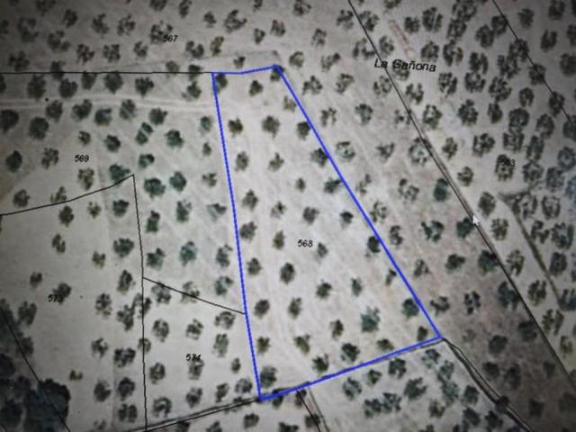 Terreno en venta en Montehermoso, Poligono 19 Parcela 568, 10810 photo 0