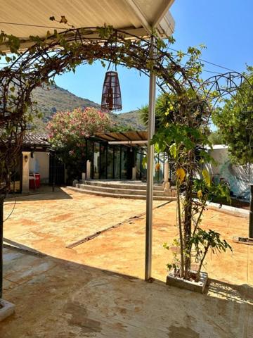 Local comercial en alquiler en Alcúdia, Puerto Alcudia photo 0