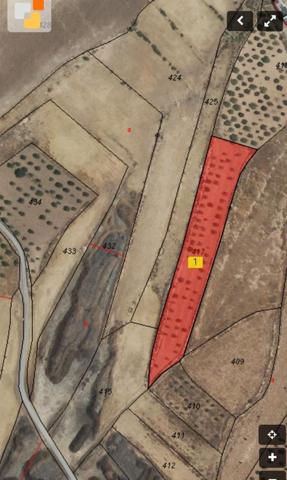 Terreno en venta en Fuente Álamo de Murcia, Campillo de arriba photo 0