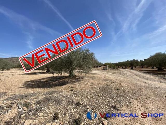 Terreno en venta en Caudete, Batan photo 0