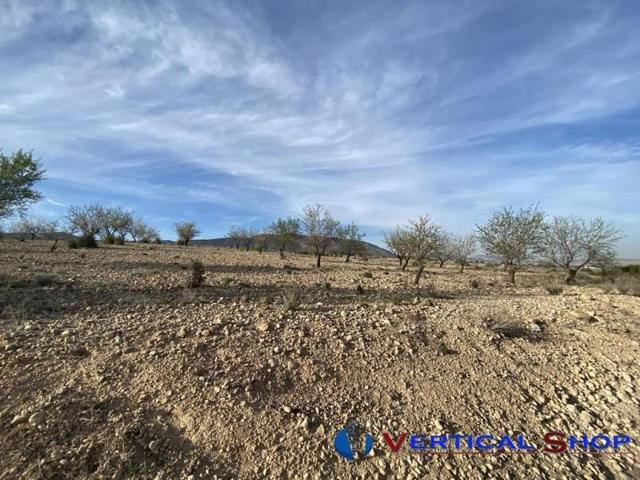 Terreno en venta en Caudete, San Vicente photo 0