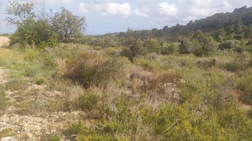 Terreno en venta en Benicarló, CORRAL DEL PITIQUILLO photo 0