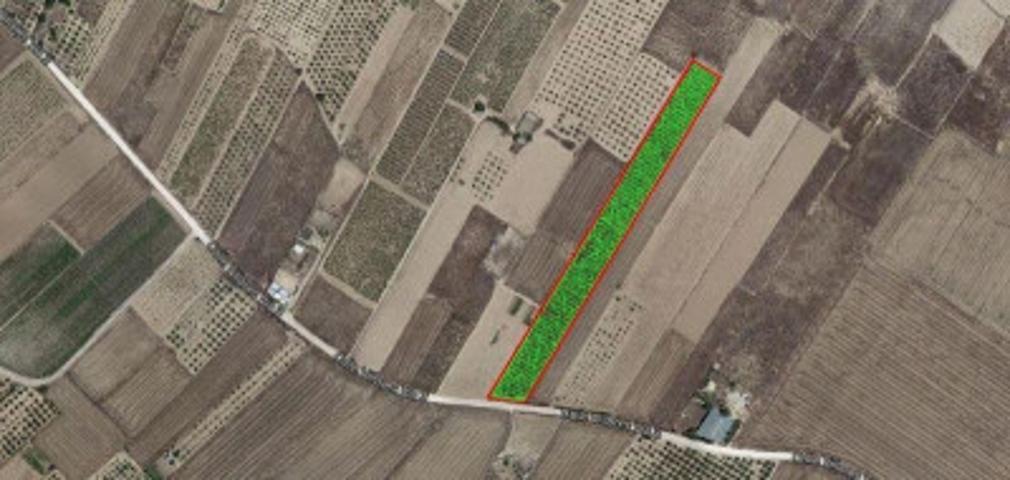 Terreno en venta en Caudete, Las Suertes photo 0