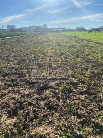 Terreno en venta en Almodóvar del Río, Veredón photo 0
