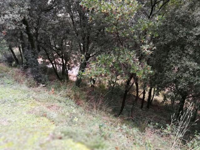 Terreno en venta en Bigues i Riells, Urbanizacion photo 0