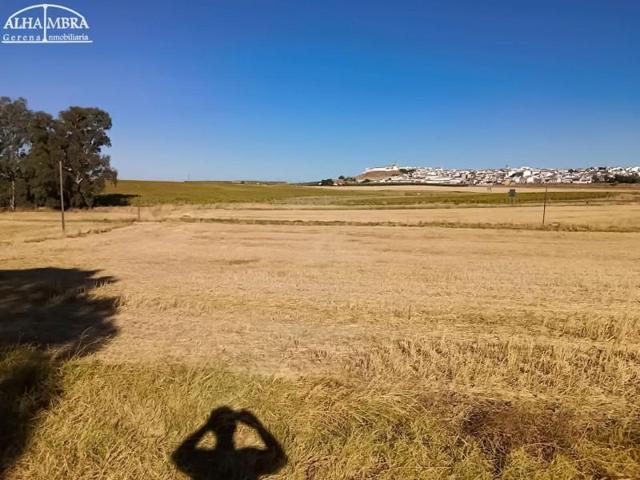 Parcela en venta en Gerena, Gerena photo 0