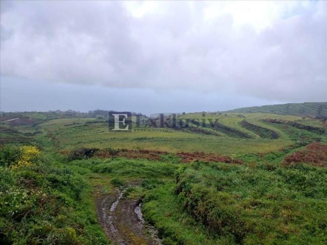 Terreno en venta en San Juan de la Rambla, Fuente del bardo, 38420 photo 0