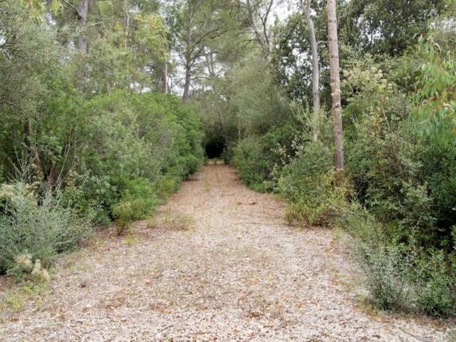 Terreno en venta en Sencelles, Cas canar photo 0