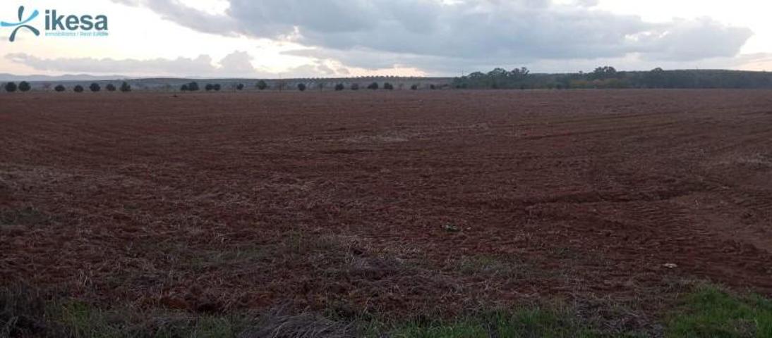 Terreno en venta en Solana de los Barros photo 0