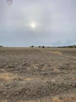 Terreno en venta en Arcos de la Frontera, Vega los molinos photo 0