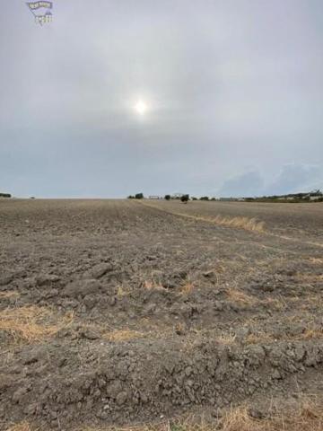 Terreno en venta en Arcos de la Frontera, Vega los molinos photo 0
