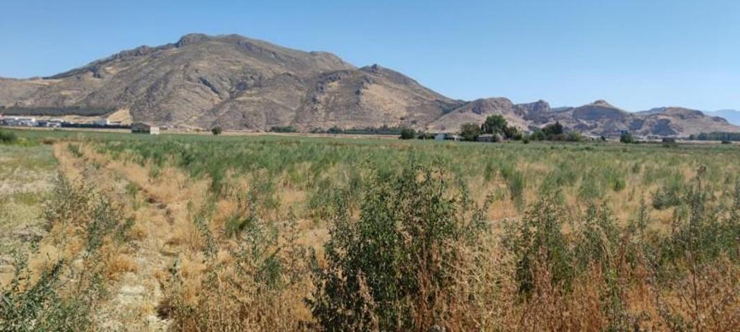 Terreno en venta en Pinos Puente, Tarquinar-pedro ruiz photo 0