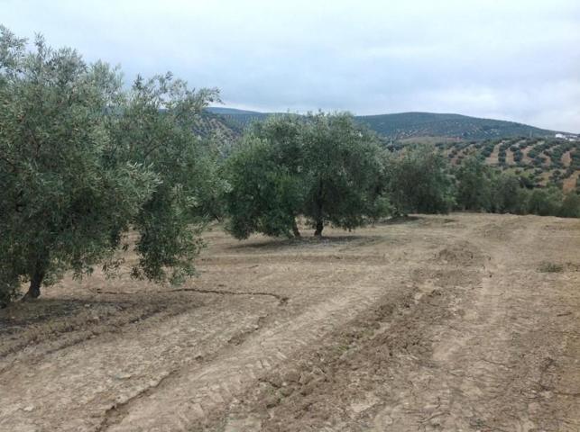 Terreno en venta en Lucena, Lucena photo 0