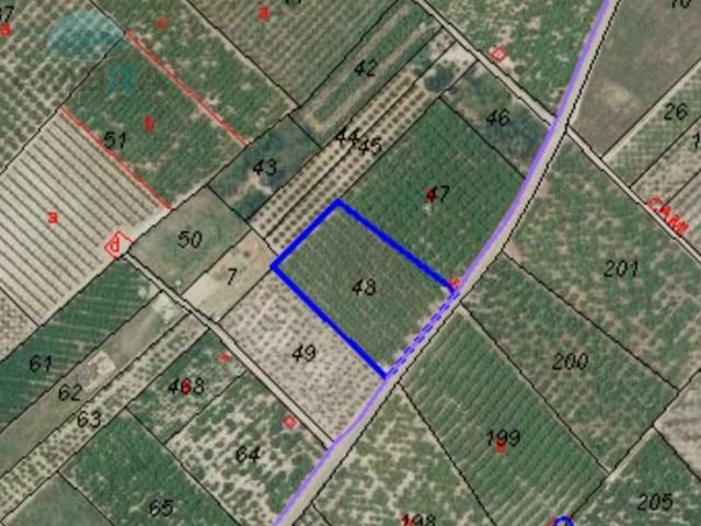 Terreno en venta en Pego photo 0