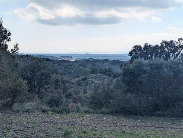 Terreno en venta en Garriguella, Garriguella photo 0