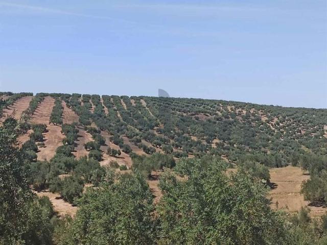 Terreno en venta en Martos, Sierra sur photo 0
