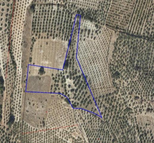 Terreno en venta en Lucena, Lucena photo 0