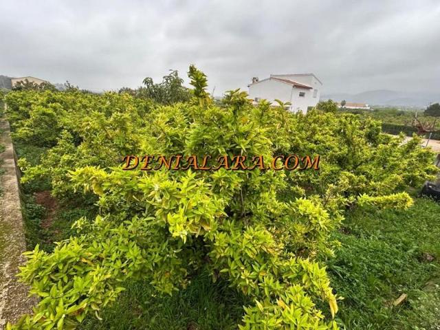 Parcela en venta en Pego photo 0