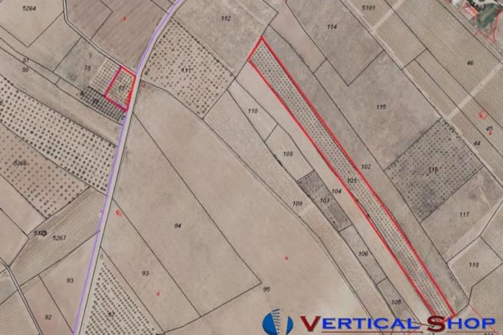 Terreno en venta en Caudete, Casa el pavo photo 0