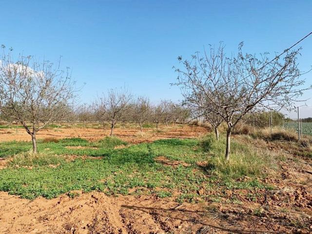 Terreno en venta en Cartagena, La Magdalena photo 0