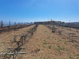 Terreno en venta en Arico, Arico viejo tenerife photo 0