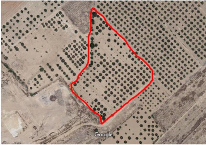 Terreno en venta en Caudete, Hondo de las Nogueras photo 0