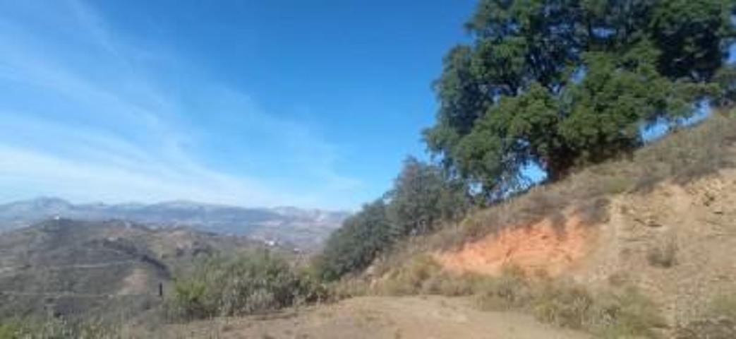 Parcela en venta en Colmenar, Cta. alfarnate photo 0