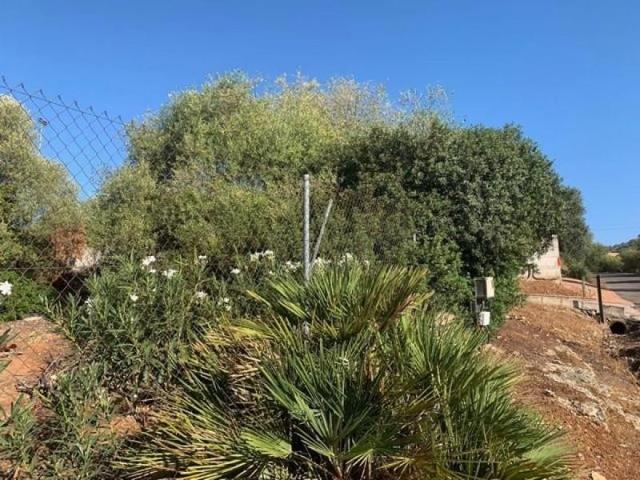 Parcela en venta en Córdoba, Villarrubia photo 0