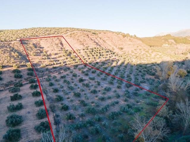 Terreno en venta en Calicasas, Calicasas photo 0