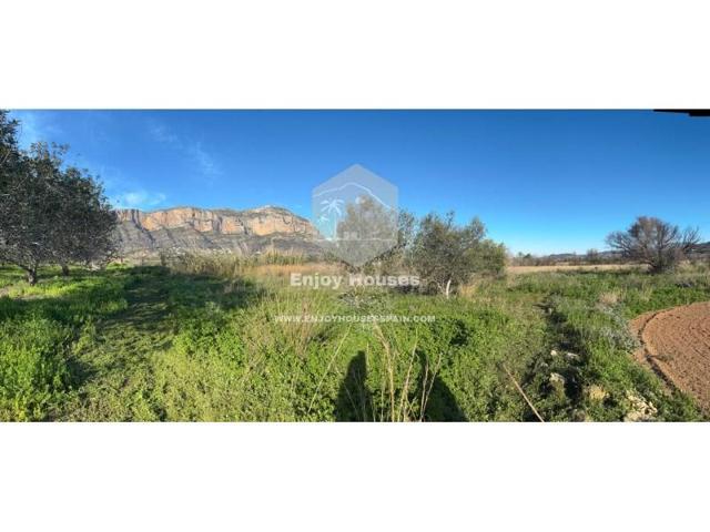 Terreno en venta en Denia photo 0