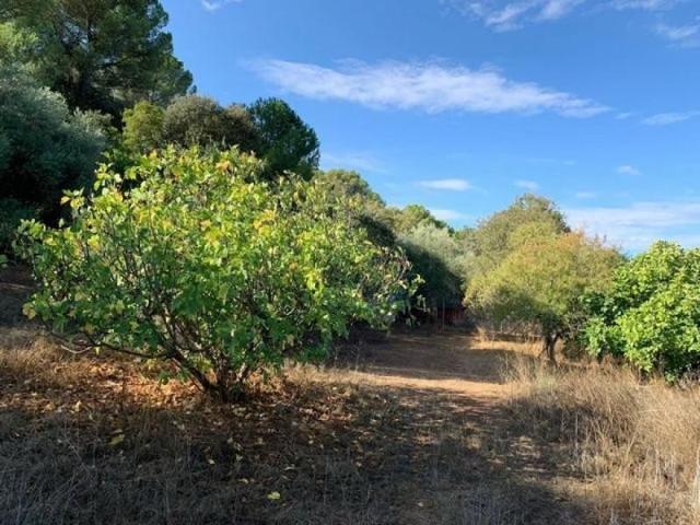 Parcela en venta en Córdoba, Trassierra photo 0