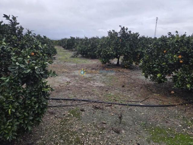 Terreno en venta en Simat de la Valldigna, A las Fueras photo 0