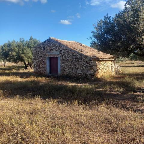 Casa con terreno en venta en Tivenys, Tivenys photo 0