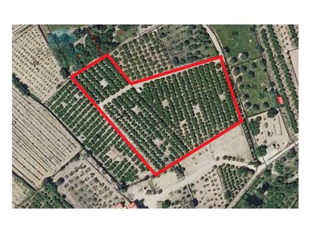 Terreno en venta en Orba photo 0