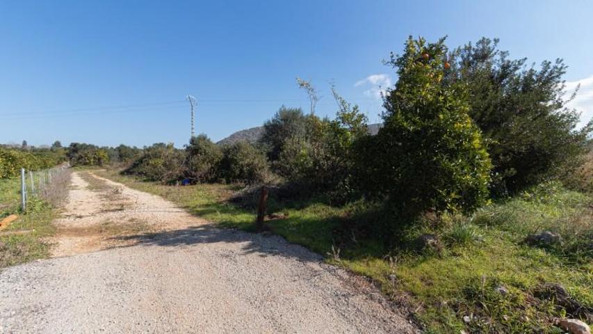 Terreno en venta en Denia photo 0