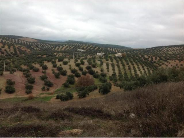 Chalet en venta en Lucena, Lucena photo 0